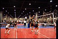 20080530_Wasabi_Nationals_3916.JPG