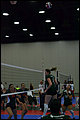 20130527-041652_Wasabi-Match_4-0022.jpg