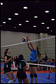 20130527-062524_Wasabi-Match_5-0007.jpg