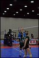 20130527-062702_Wasabi-Match_5-0017.jpg