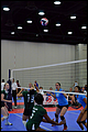 20130527-063822_Wasabi-Match_5-0053.jpg