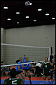 20130527-064812_Wasabi-Match_5-0075.jpg