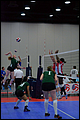 20130527-085934_Wasabi-Match_6-0091.jpg