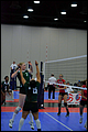 20130527-090322_Wasabi-Match_6-0096.jpg