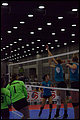 20130528-080228_Wasabi-Match_9-0018.jpg