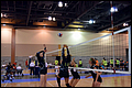 20140525-234616_Wasabi_Gold_1-0048.JPG