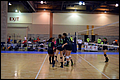 20140525-234650_Wasabi_Gold_1-0053.JPG